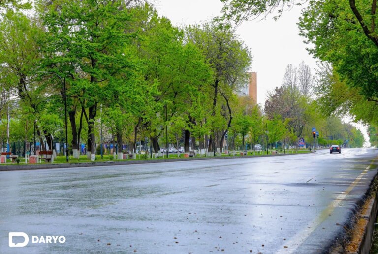 Ўзбекистонда 18 апрель куни ҳарорат нисбатан пасаяди