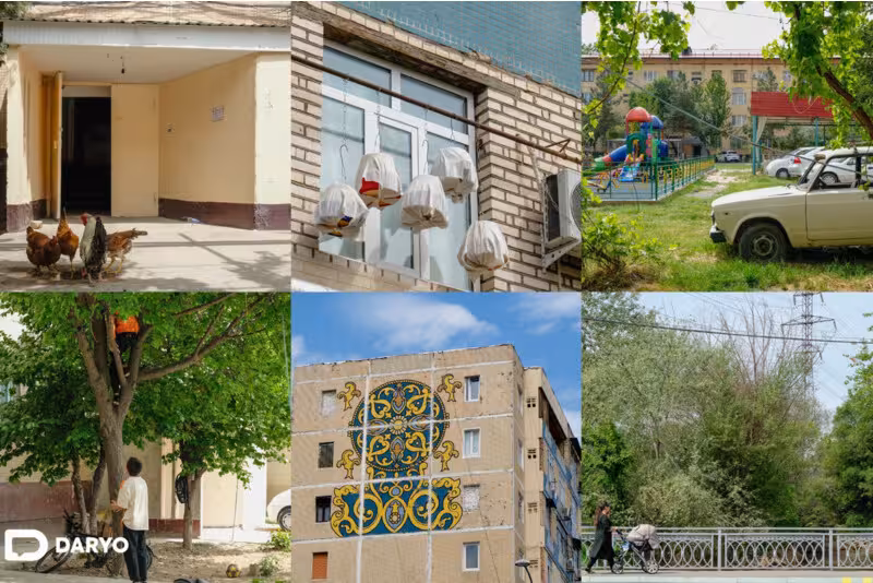Фото: Домдаги товуқхоналар, саноғи йўқ каптар-у тўтилар, Тошкентнинг янги “эски” шаҳри Қорақамиш