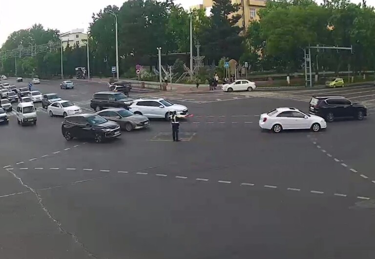 Toshkentda YPX inspektorini Tracker urib yubordi (video)