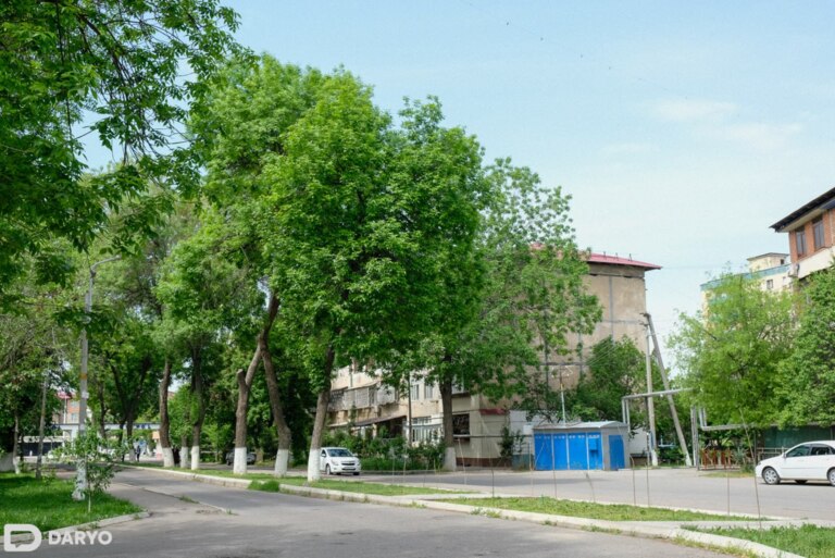 Ўзбекистонда 30 апрель куни куни ҳарорат нисбатан пасаяди