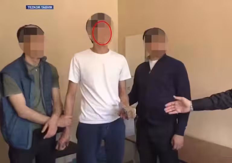 В нескольких регионах задержаны лица, пытавшиеся отправить граждан в США нелегальными путями (видео)