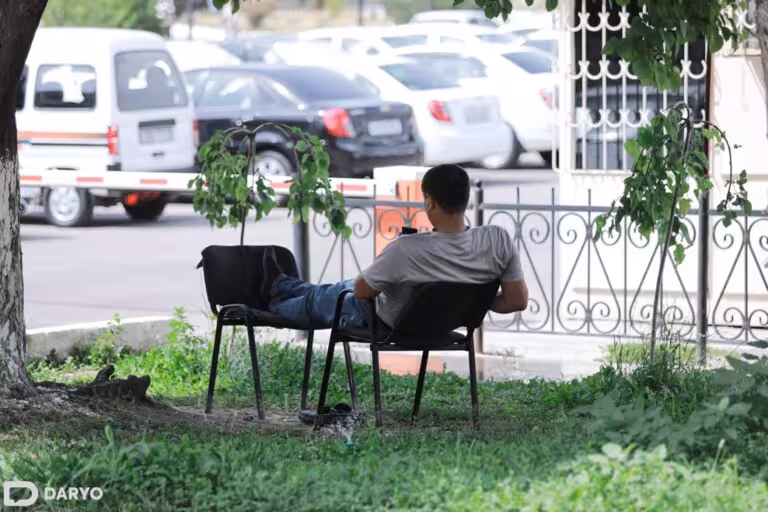Завтра в Узбекистане ожидается потепление до 40 градусов