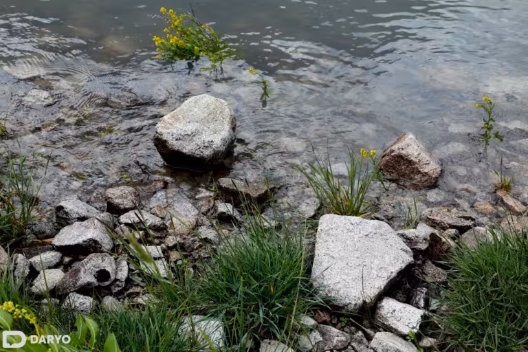 O‘zbekistonda yakshanba kuni qaysi hududlarda yomg‘ir yog‘adi?