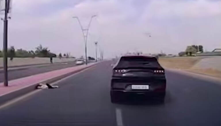 Toshkentda 9 yoshli qizning o‘limiga sababchi bo‘lgan BYD haydovchisiga chora ko‘rildi (video)