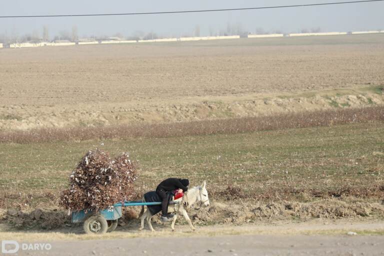 O‘zbekistonda kambag‘al oilalar toifalarga qanday ajratilishi ma’lum bo‘ldi 