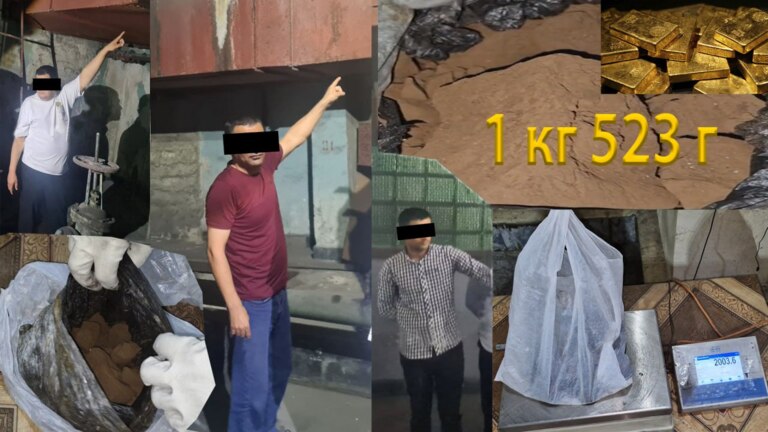 Navoiyda 2 mlrd so‘mlik oltinni talon-toroj qilmoqchi bo‘lgan zavod xodimlari qo‘lga tushdi 