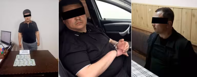Xorazmda soliq inspektoriga nisbatan jinoyat ishi qo‘zg‘atildi