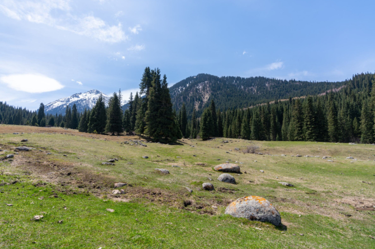 Kyrgyzstan announces creation of 800,000-hectare ecological corridor to protect biodiversity 