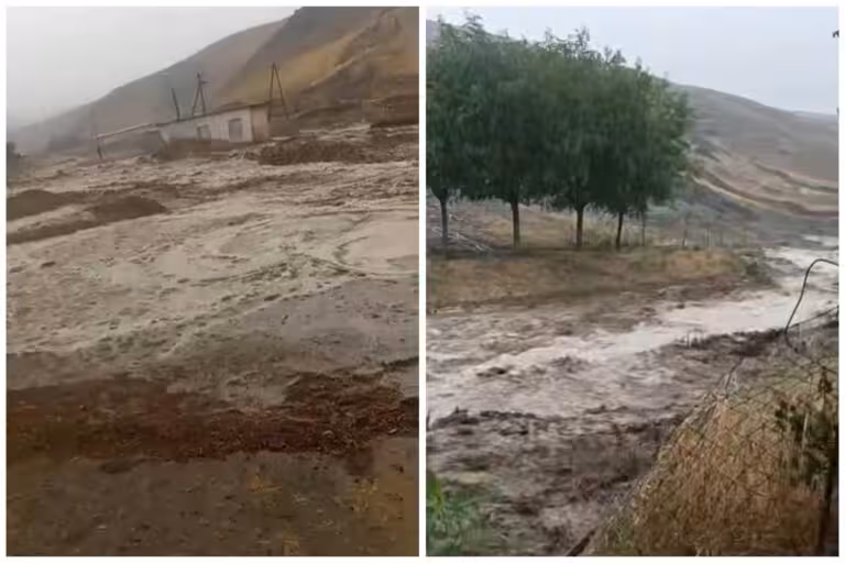 Zomin tumanining ayrim hududlariga sel keldi