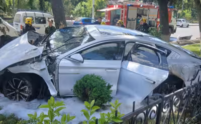 Тошкентда BYD дарахтга урилиб ёниб кетди (видео) 