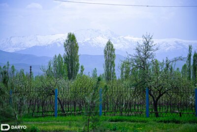O‘zbekistonning ayrim hududlarida 8-may kuni yomg‘ir yog‘ishi mumkin