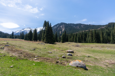 Kyrgyzstan announces creation of 800,000-hectare ecological corridor to protect biodiversity 
