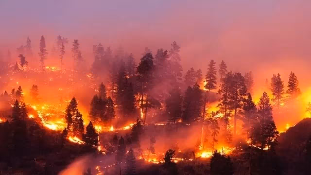 Фото: Getty Images