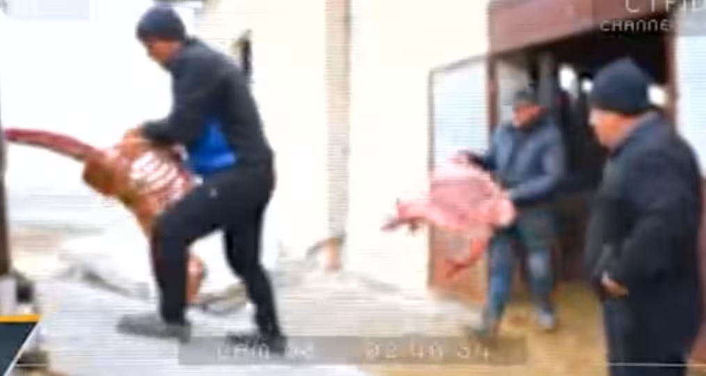 Кадр из видео