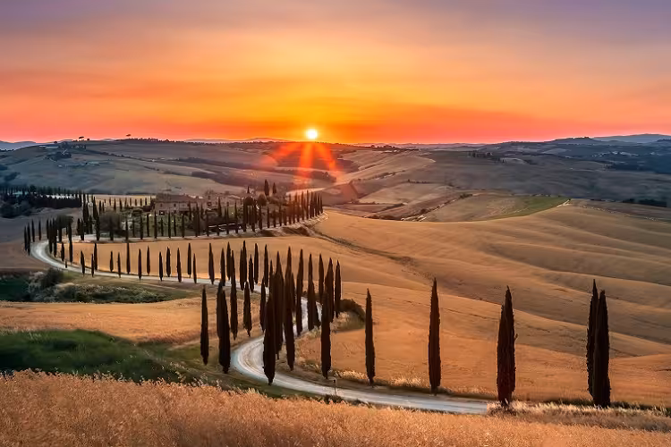 Фото: Samuele Bertoli/Unsplash