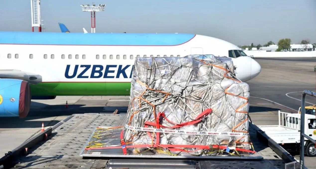 Third Shipment of Hepatitis C Drugs Arrives in Uzbekistan from Egypt