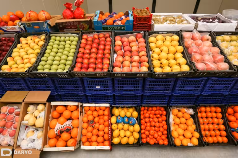 Tajikistan’s fruit exports hit by rising costs and stronger currency, EastFruit warns 