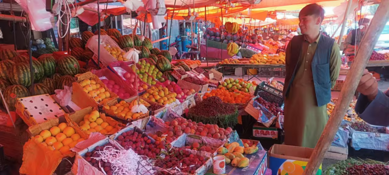 Afghanistan’s Balkh province doubles wet fruit harvest despite drought