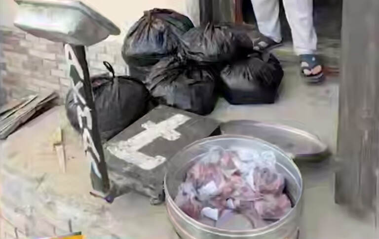 Sirdaryodan Toshkentga olib ketilayotgan 361 kg eshak go‘shti to‘xtatib qolindi
