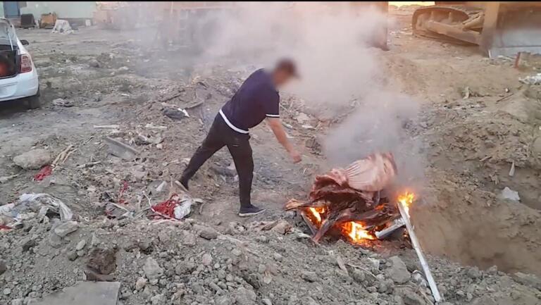 Qashqadaryodan Toshkentga olib ketilayotgan isteʼmolga yaroqsiz 431 kg go‘sht yoqib yuborildi