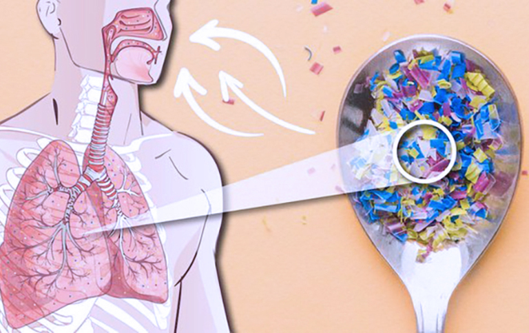 Plastik idishdagi ovqat yurak kasalliklariga qanday taʼsir qiladi