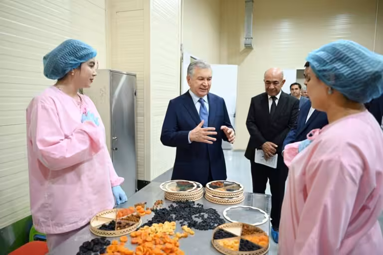 “Texnologiya olib kelib, jahon bozoriga sarxil va quritilgan mevalarni eksport qilish salohiyatimiz bor” — prezident