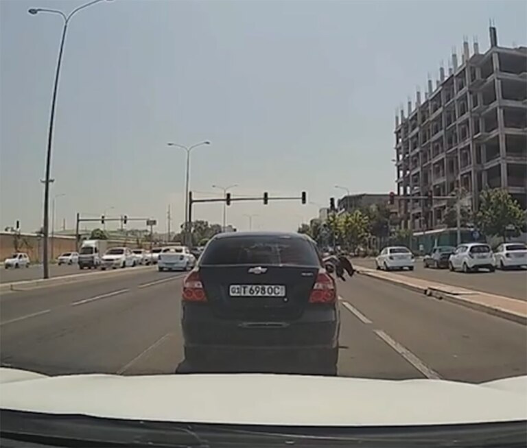 В Ташкенте гражданин выбросил кошку на проезжую часть из окна автомобиля (видео)