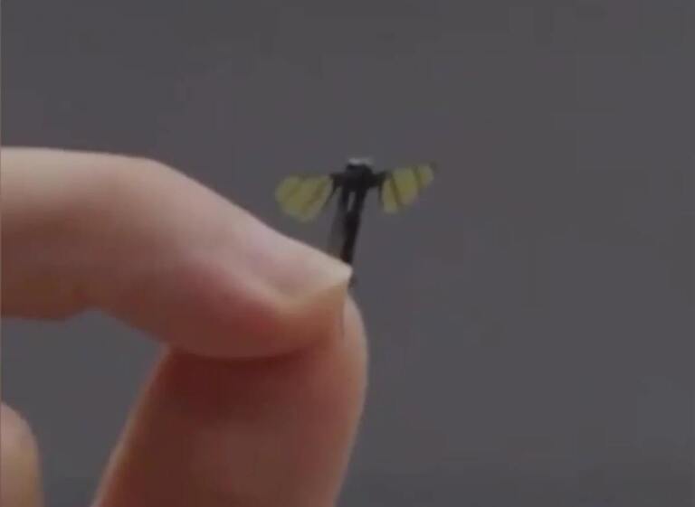 Xitoyda chivindek keladigan harbiy dron ishlab chiqildi (video)