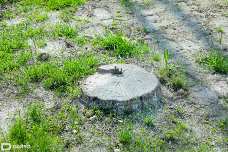 Uzbekistan imposes over $9mn in fines for environmental violations 