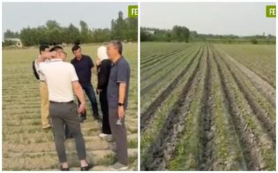Xitoylik fuqarolar yoki kompaniyalarga yer ajratilishi haqidagi bayonotlar asossiz — Qishloq xo‘jaligi vazirligi
