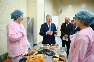 “Texnologiya olib kelib, jahon bozoriga sarxil va quritilgan mevalarni eksport qilish salohiyatimiz bor” — prezident