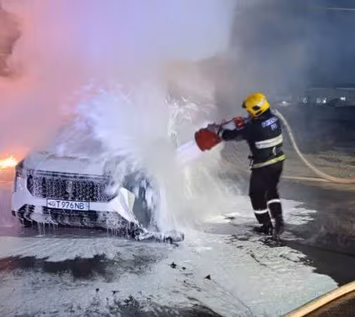 Фото: УЧС Ташкента