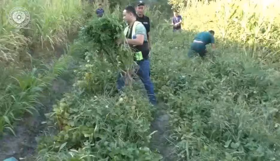 Кадр из видео