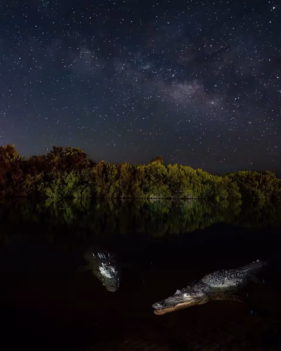 Mangrove Foto: Photography Awards 2025