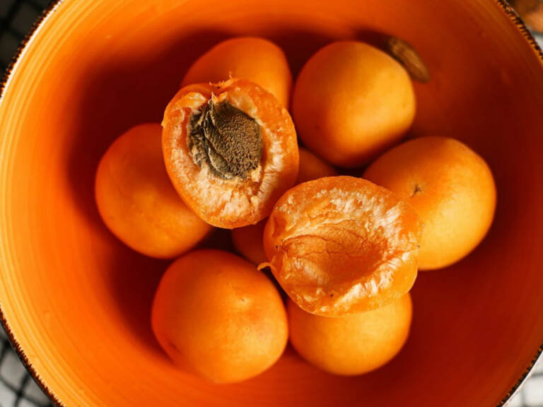 Quyoshli meva: yozda o‘rik iste’mol qilish uchun 7 sabab