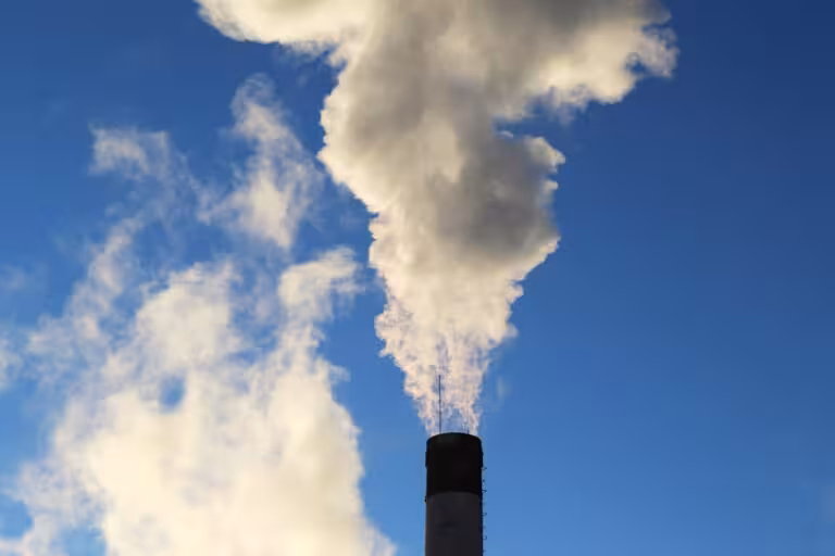 Uzbekistan adopts law on limiting greenhouse gas emissions 