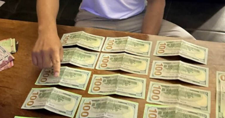 Xoreografiya akademiyasiga 2 ming dollar evaziga fuqaroni grant asosida o‘qishga kiritib qo‘yishni aytgan shaxs ushlandi