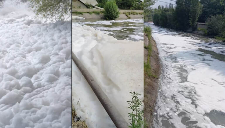 Andijondagi Janubiy Farg‘ona kanal zaharli ko‘pikka to‘lgani haqida xabarlar tarqaldi (video)