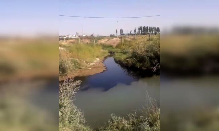 В результате аварии на предприятии в один из каналов Андижана утекла нефть (видео)