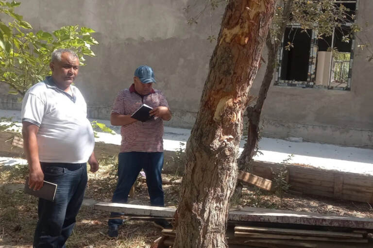 Buxoroda noqonuniy ko‘chirilgan 26 tup qimmatbaho daraxt nobud bo‘ldi