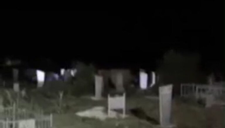 Farg‘onada “yovvoyi” kimsa paydo bo‘lgani rad etildi
