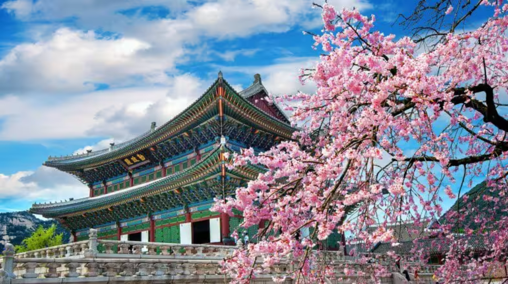Uzbek citizens’ trips to Korea increase by 48.7% in 1H25
