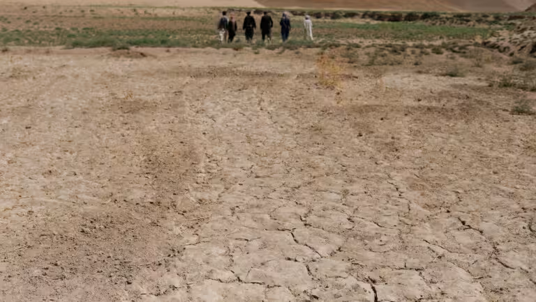 Afghanistan faces worsening drought as UN warns of major threat to agriculture and livestock 