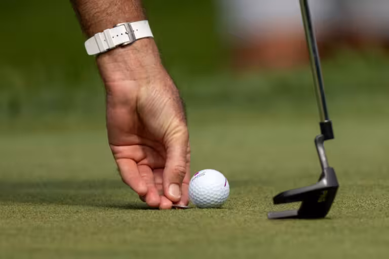 Britaniyalik golf o‘yinchisi pashsha yordamida 910 ming dollar yutib oldi (video)
